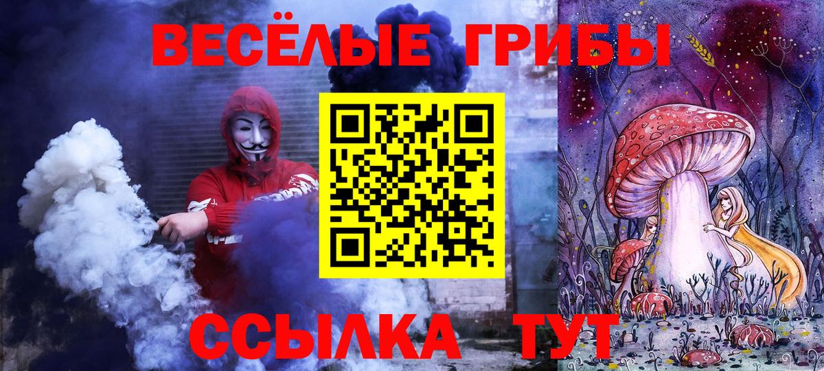 Псилоцибиновые грибы прущие грибы  Вход с VPN  Тельмана 